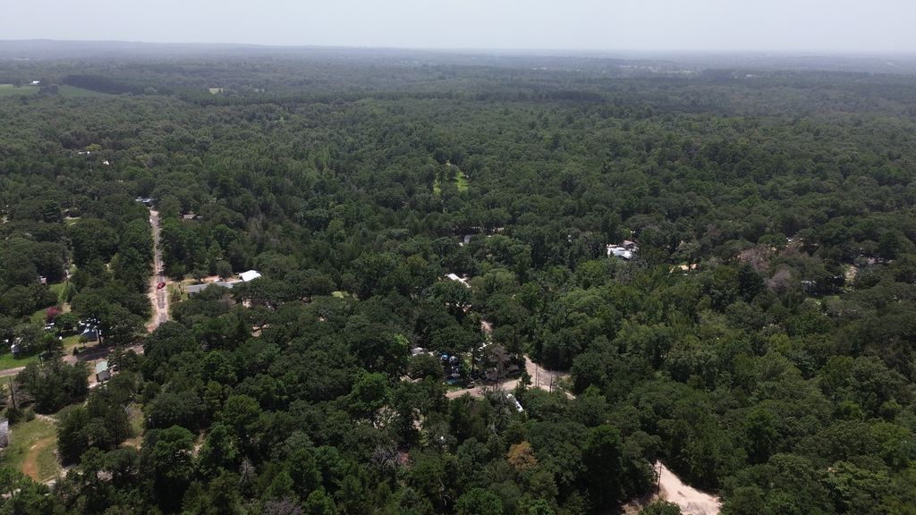 Spruce Ln photo 6