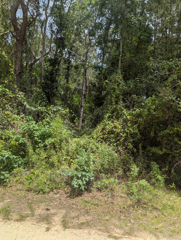 E Ivanhoe Dr photo 8