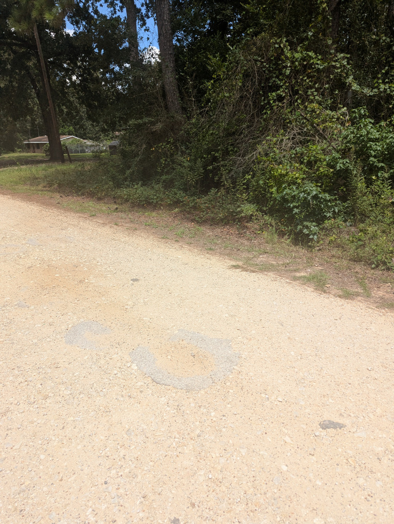 E Ivanhoe Dr photo 14