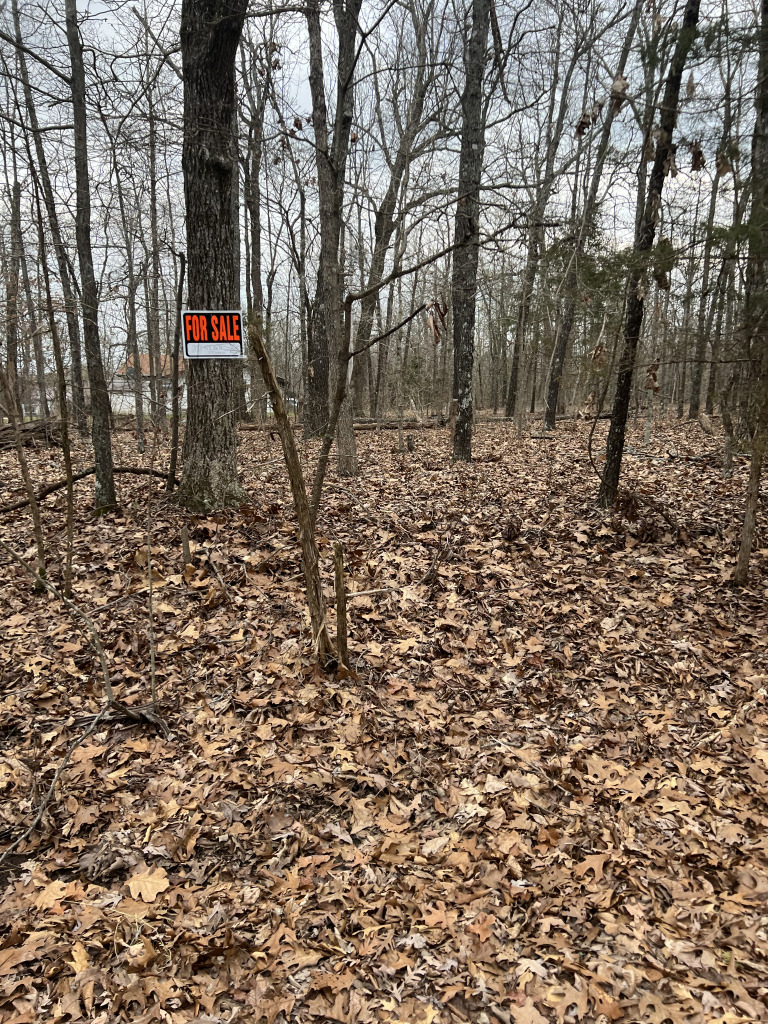 901 White Oak photo 15