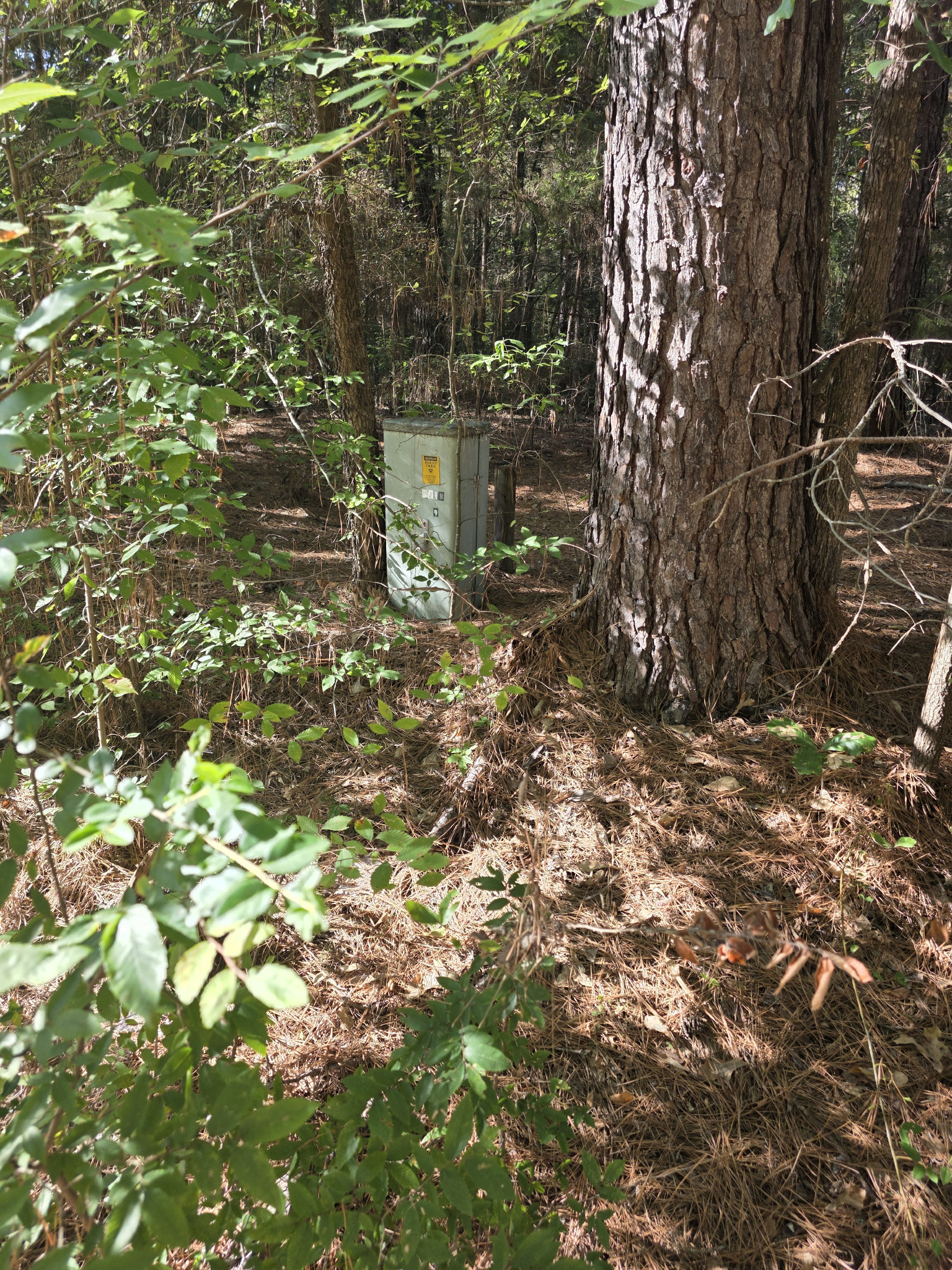 Power, Water and Septic on Raw Land: What You Need to Know