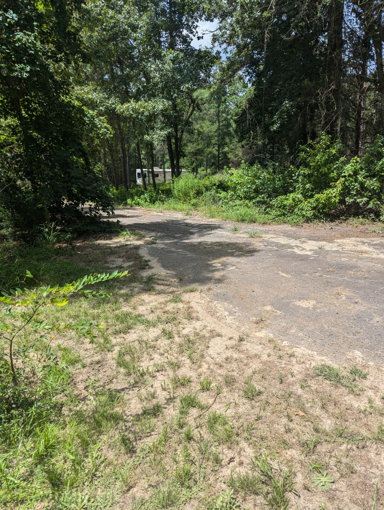 Spruce Ln photo 13