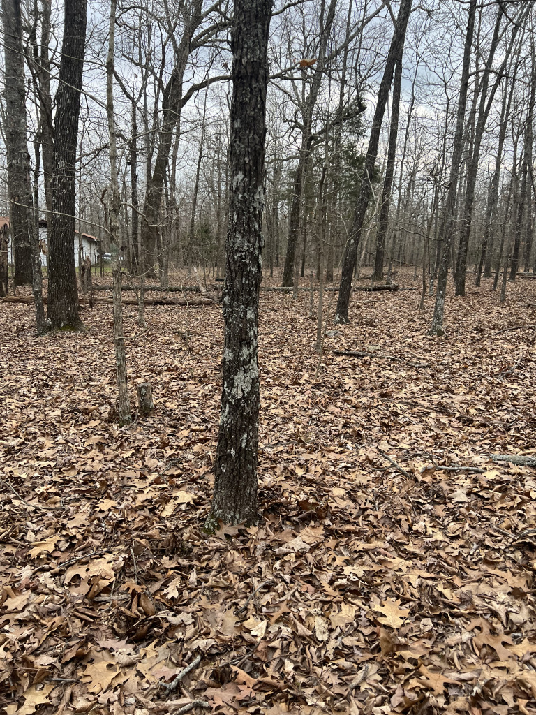 901 White Oak photo 24