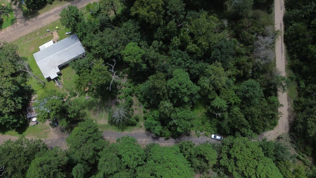 Spruce Ln photo 18