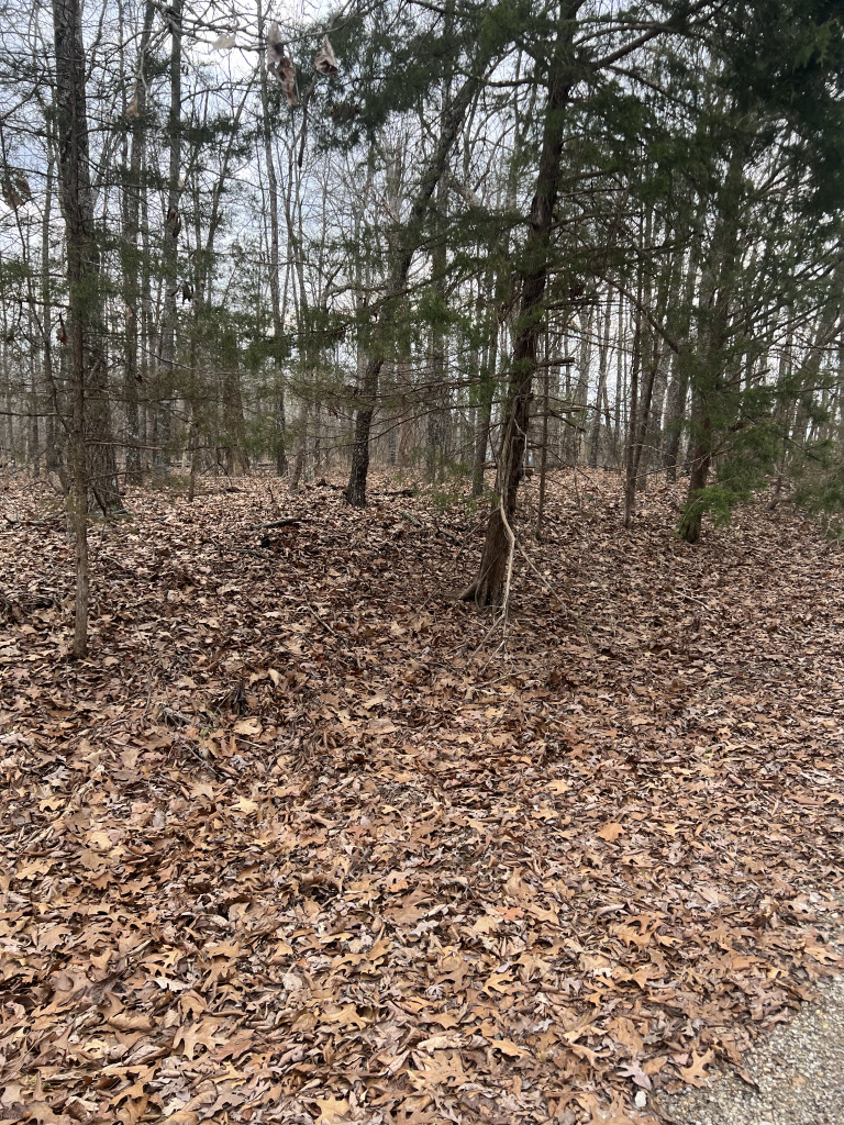 901 White Oak photo 18