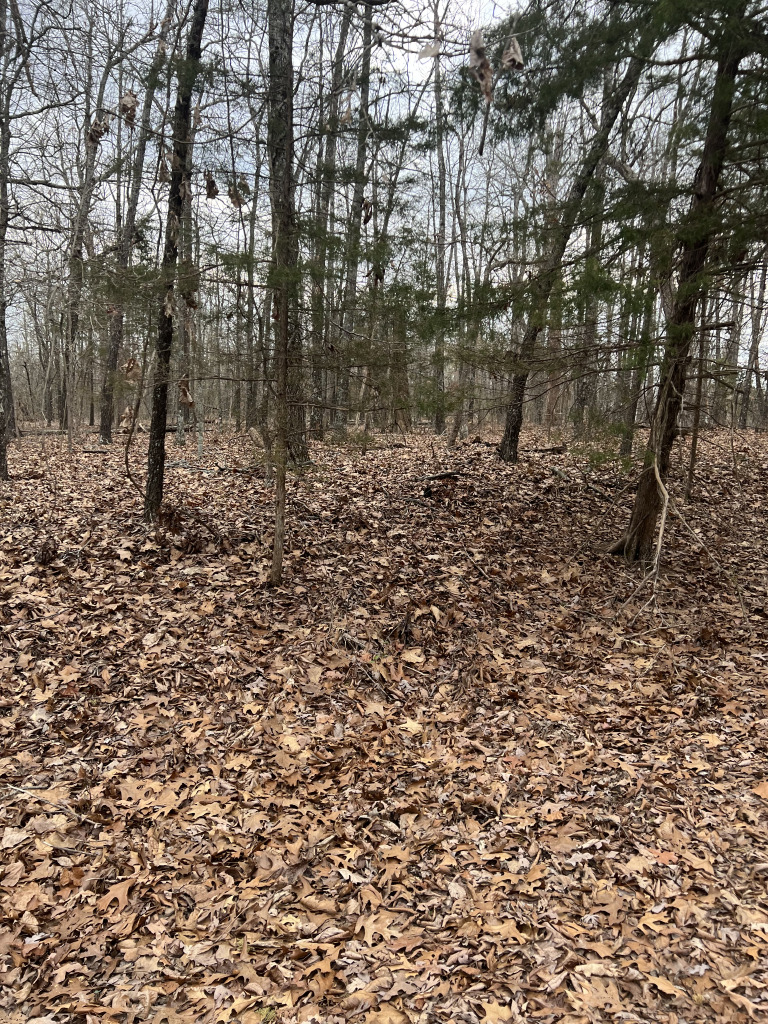 901 White Oak photo 17