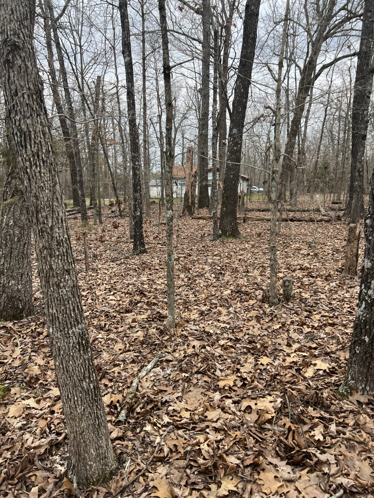 901 White Oak photo 23