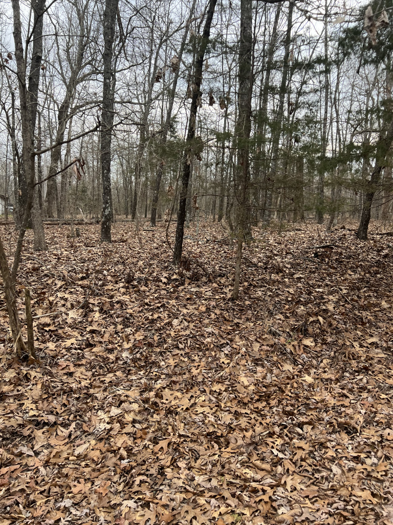901 White Oak photo 16