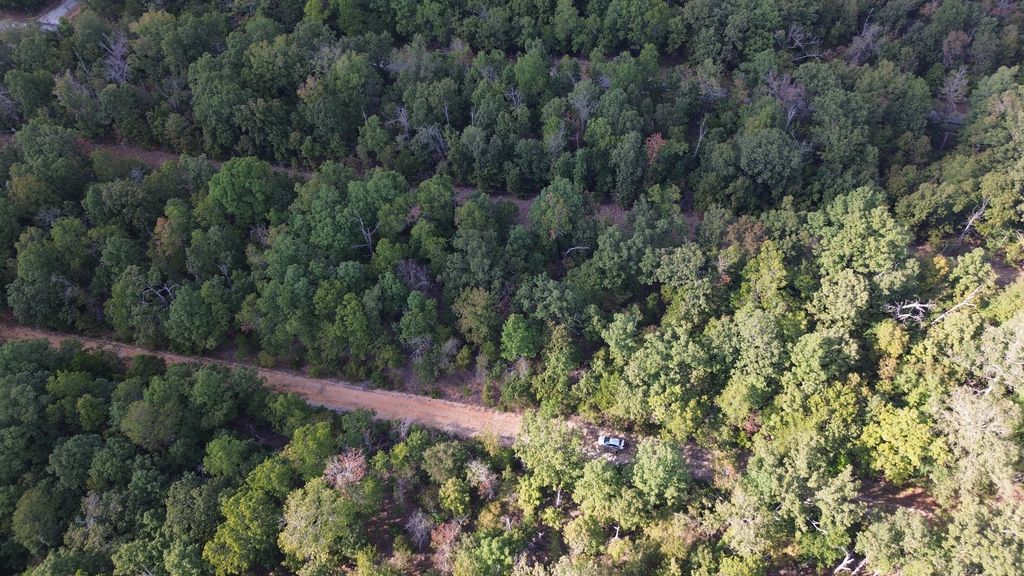 901 White Oak + more photo 9