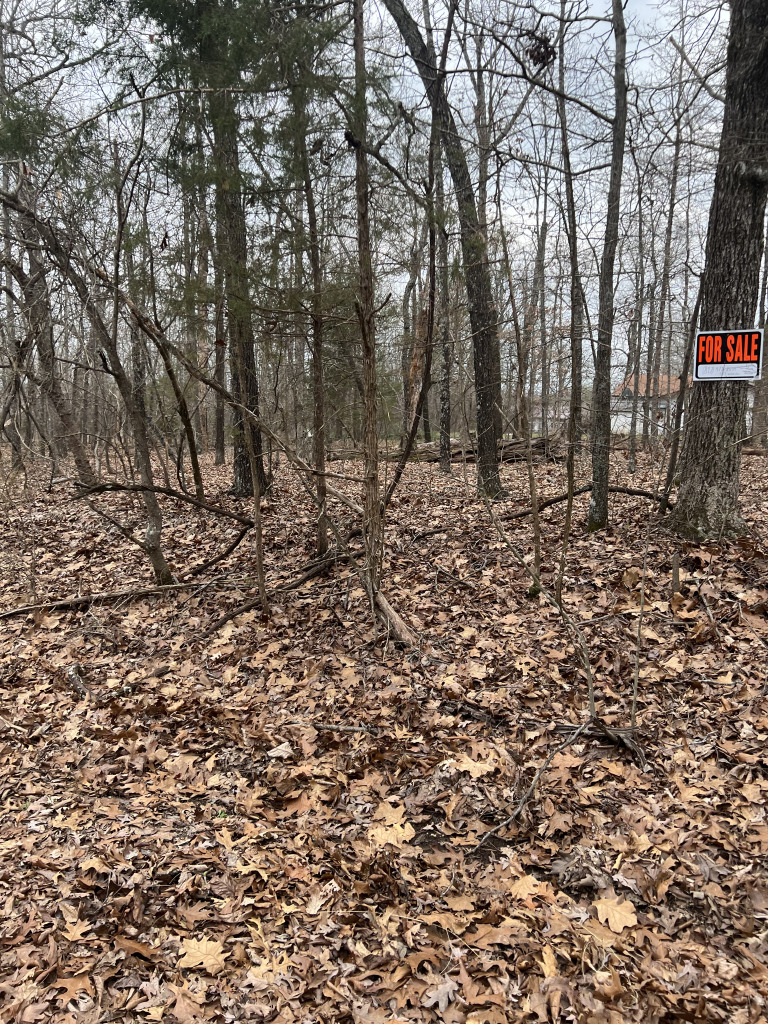 901 White Oak photo 13