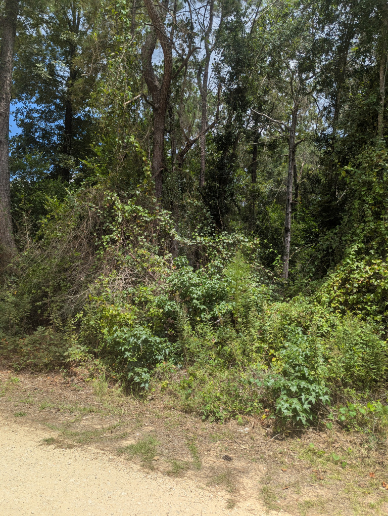 E Ivanhoe Dr photo 7