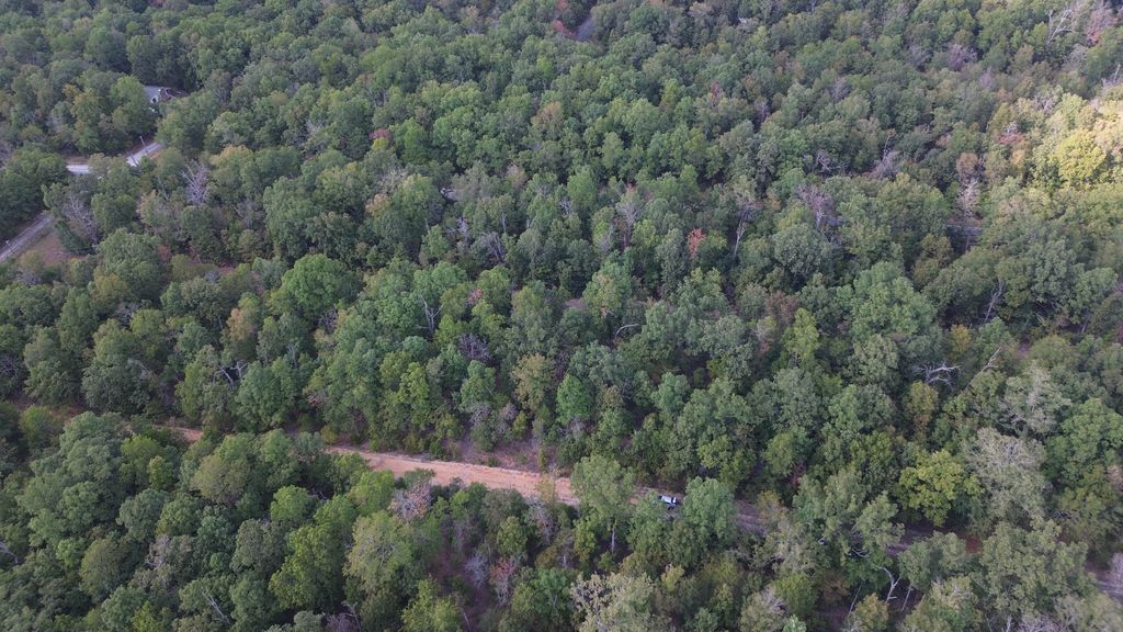 901 White Oak + more photo 10