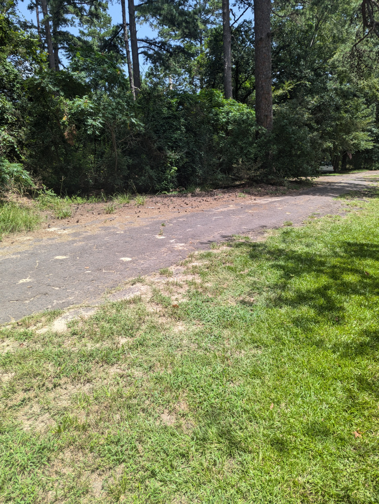 Spruce Ln photo 9