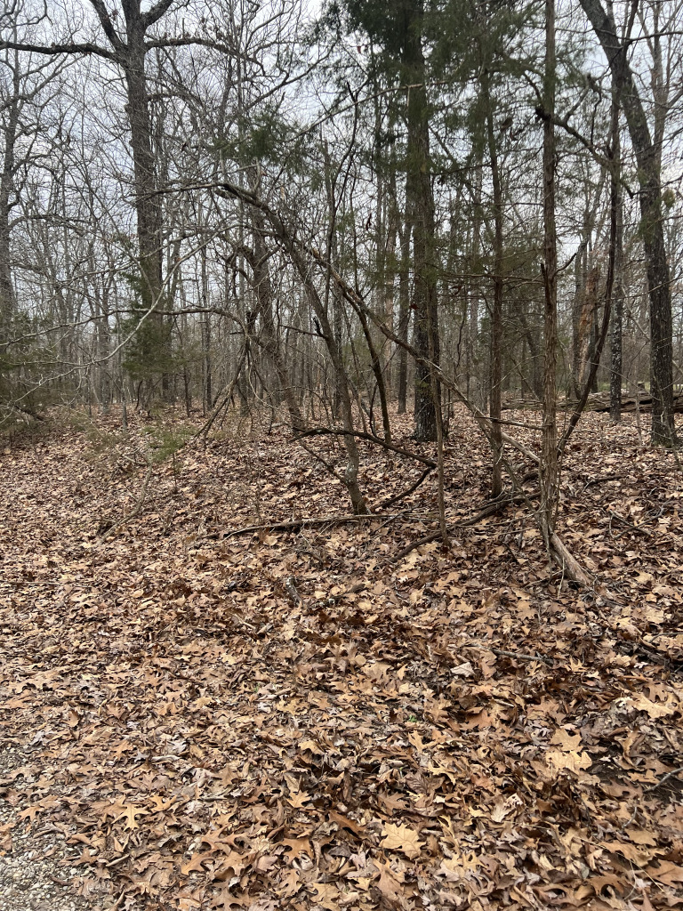 901 White Oak photo 11
