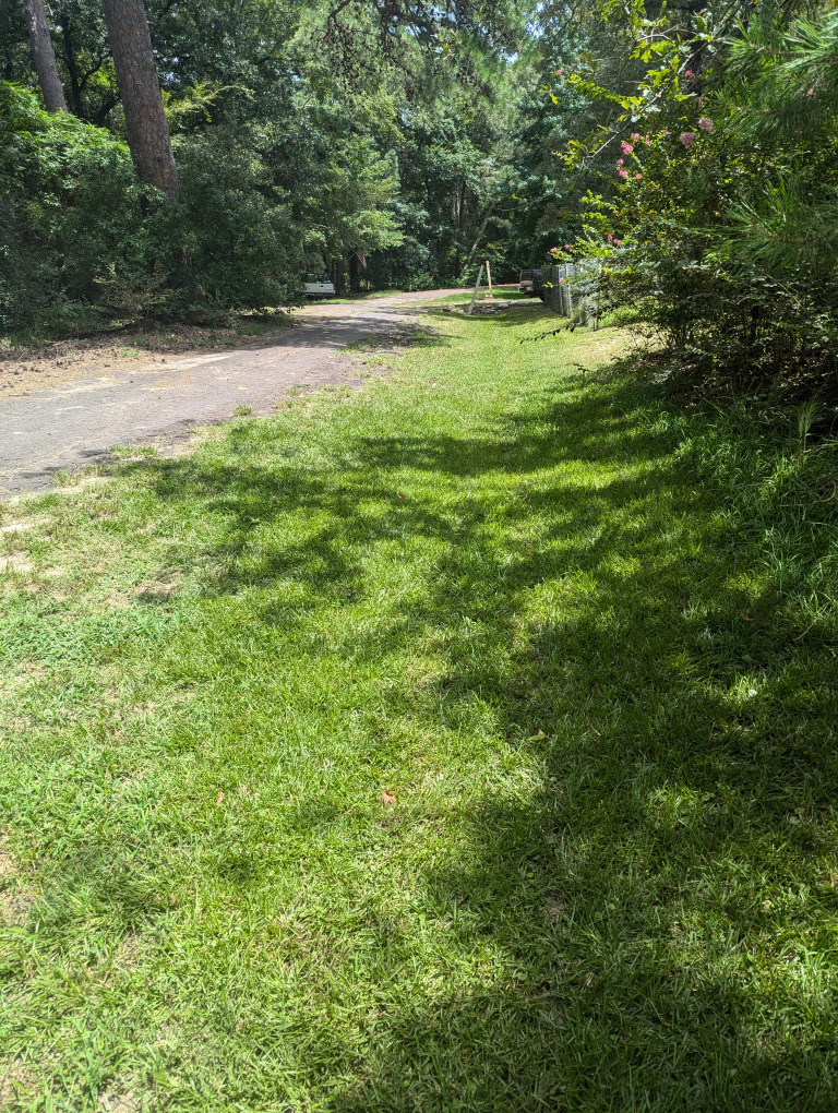 Spruce Ln photo 8