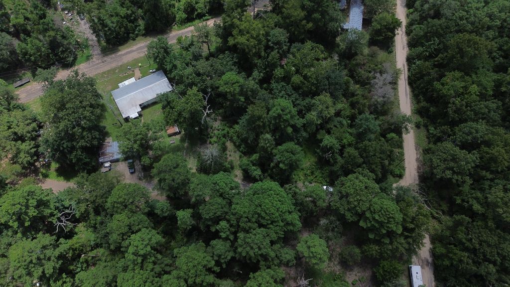 Spruce Ln photo 4