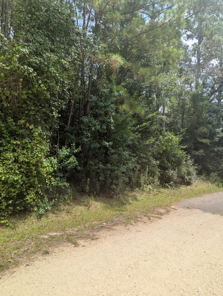 E Ivanhoe Dr photo 10