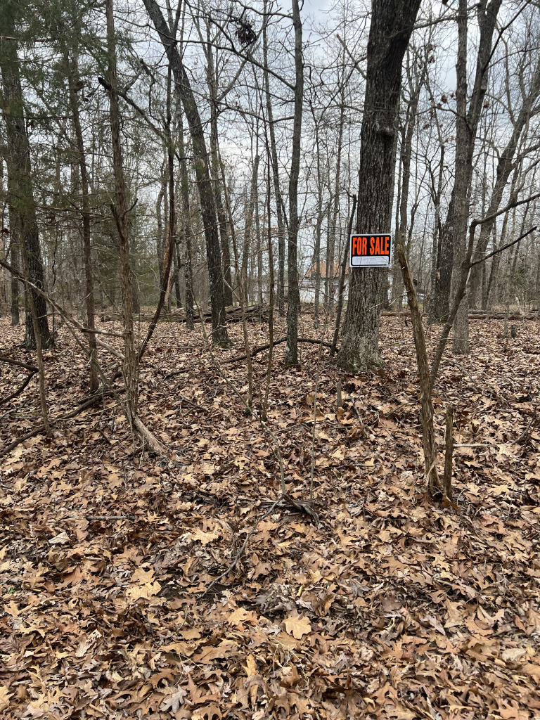 901 White Oak photo 14
