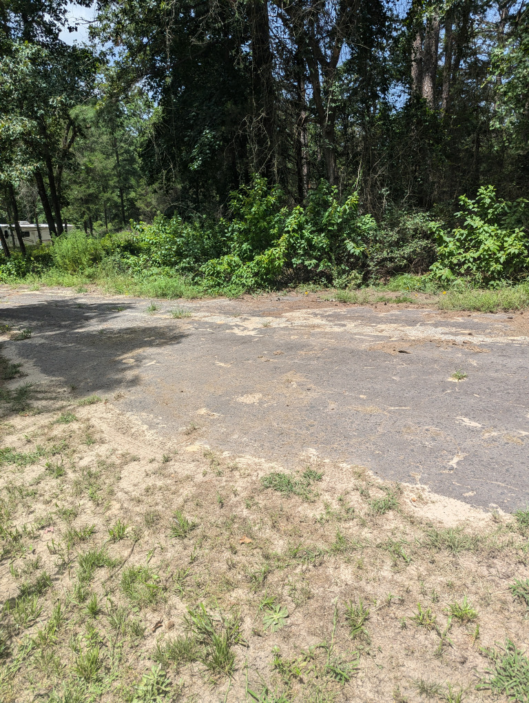 Spruce Ln photo 12