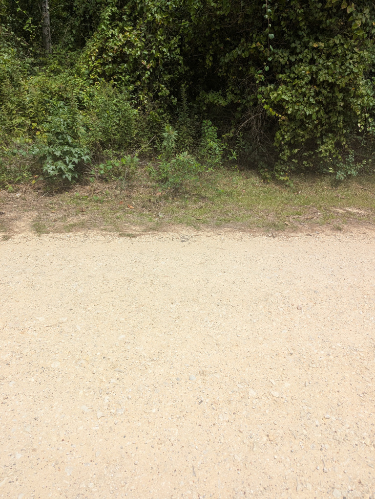 E Ivanhoe Dr photo 15