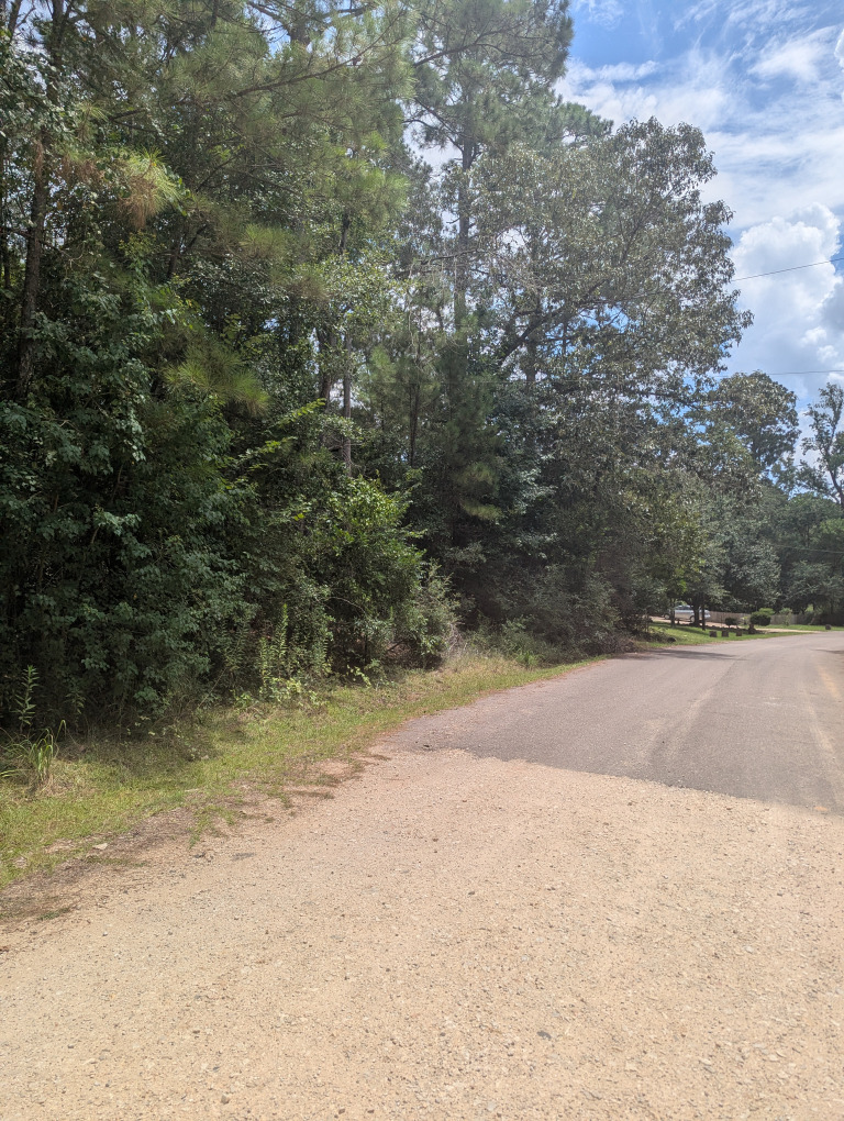 E Ivanhoe Dr photo 11