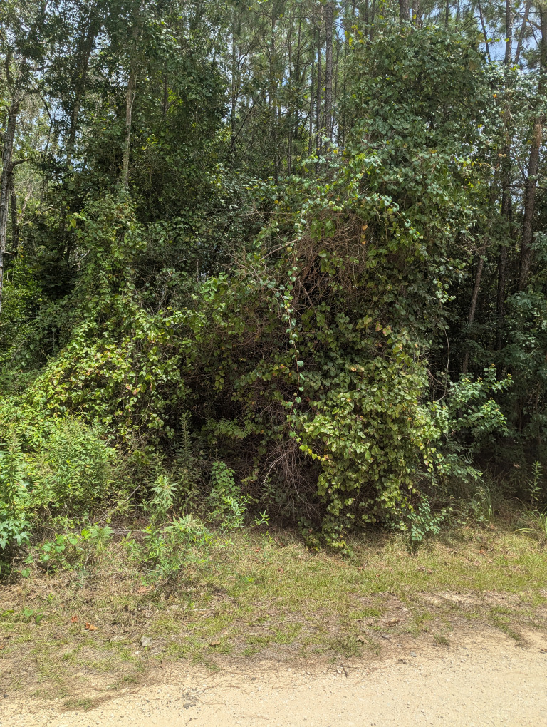 E Ivanhoe Dr photo 9